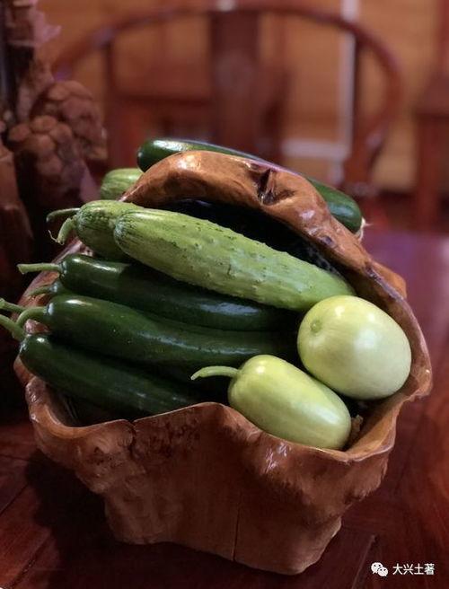 网红家暴吃瓜视频大全,揭秘网络暴力背后的真相