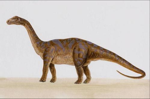 网红吃瓜恐龙图片,揭秘网络红人的趣味瞬间