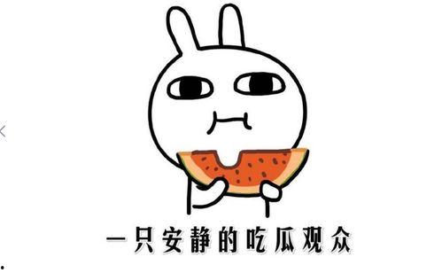 盘点吃瓜抖音网红,揭秘幕后故事与热门话题